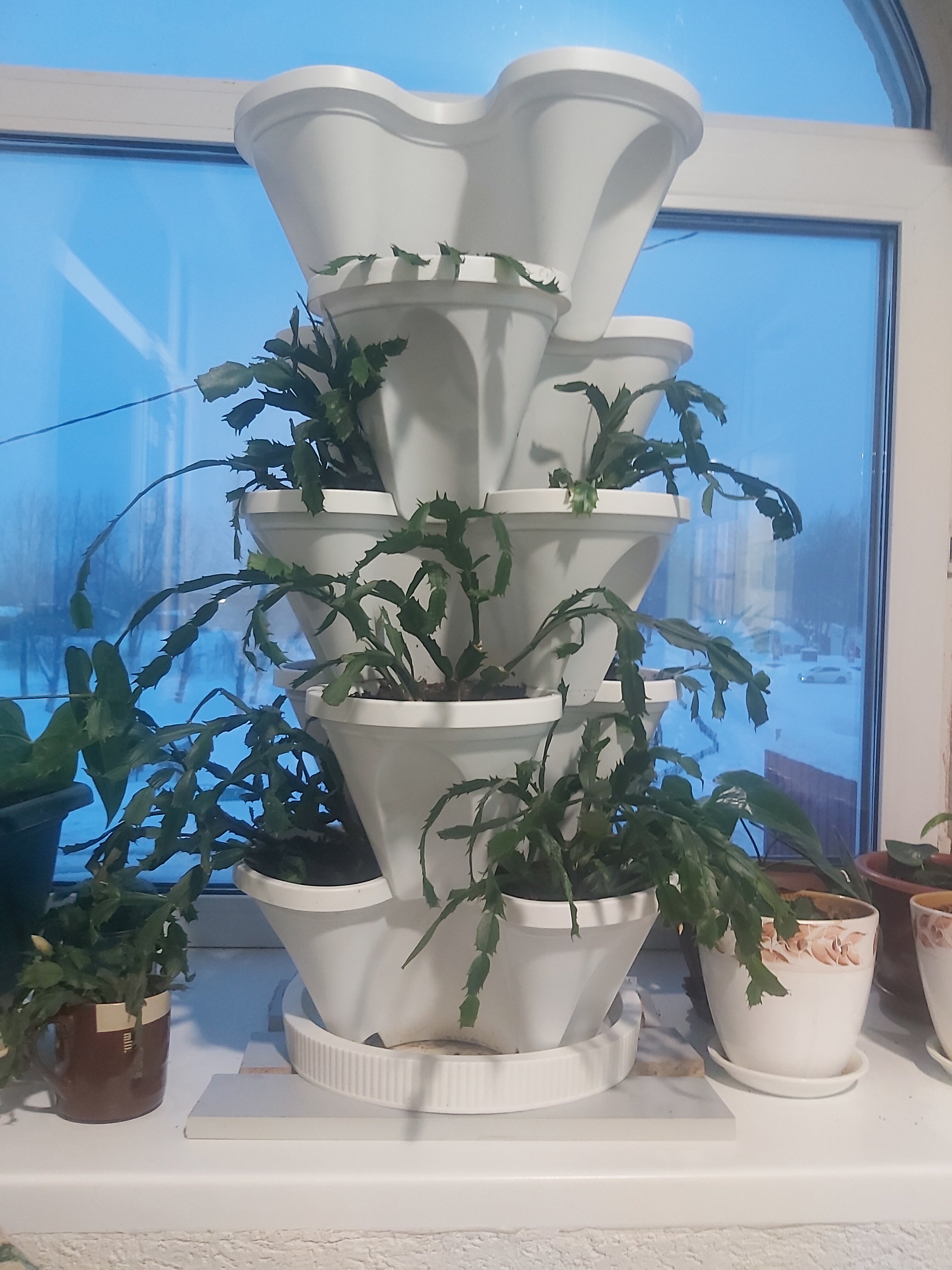 Фото Старый замок