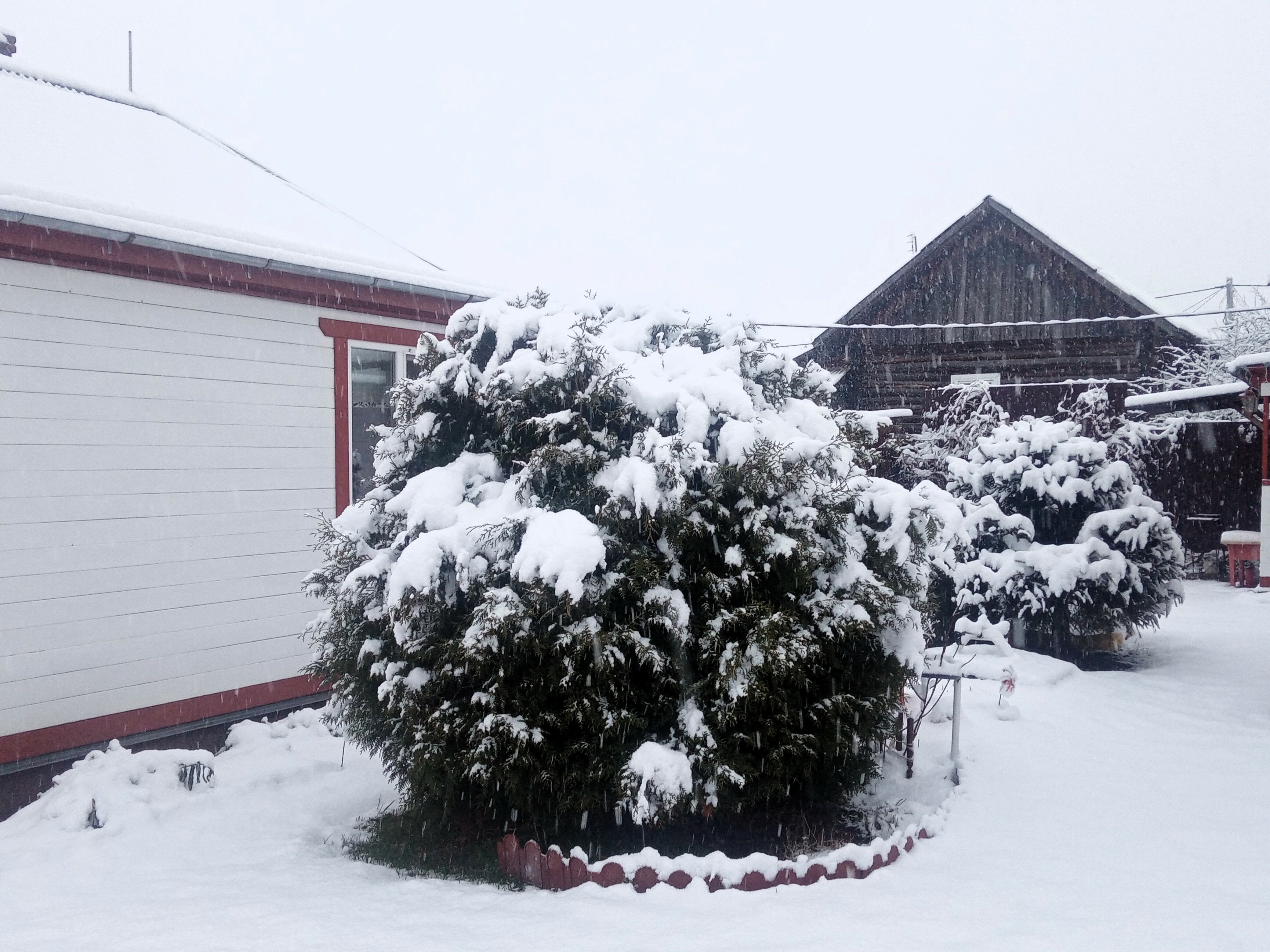 Фото Семейная дача