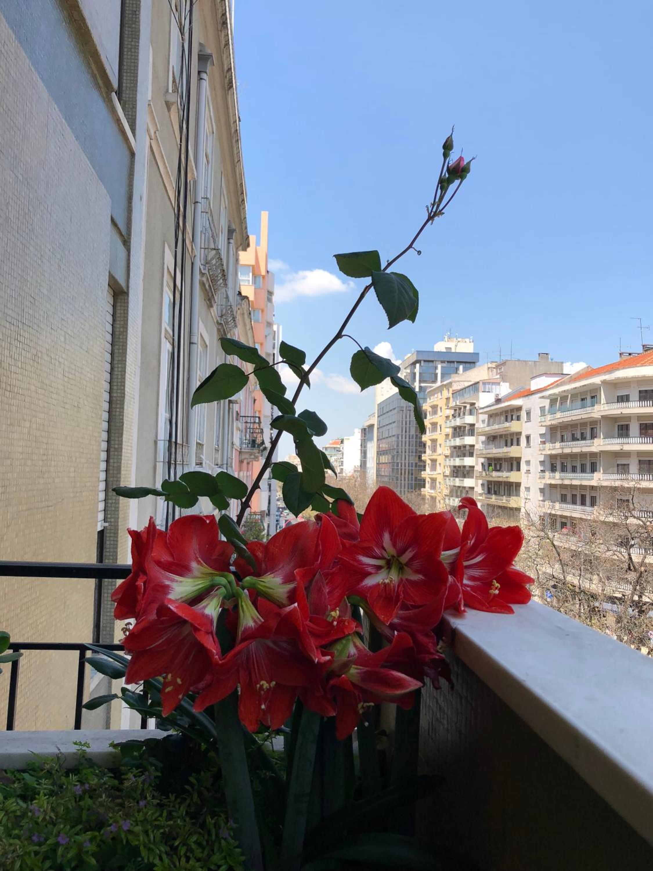 Фото Imperador Hotel