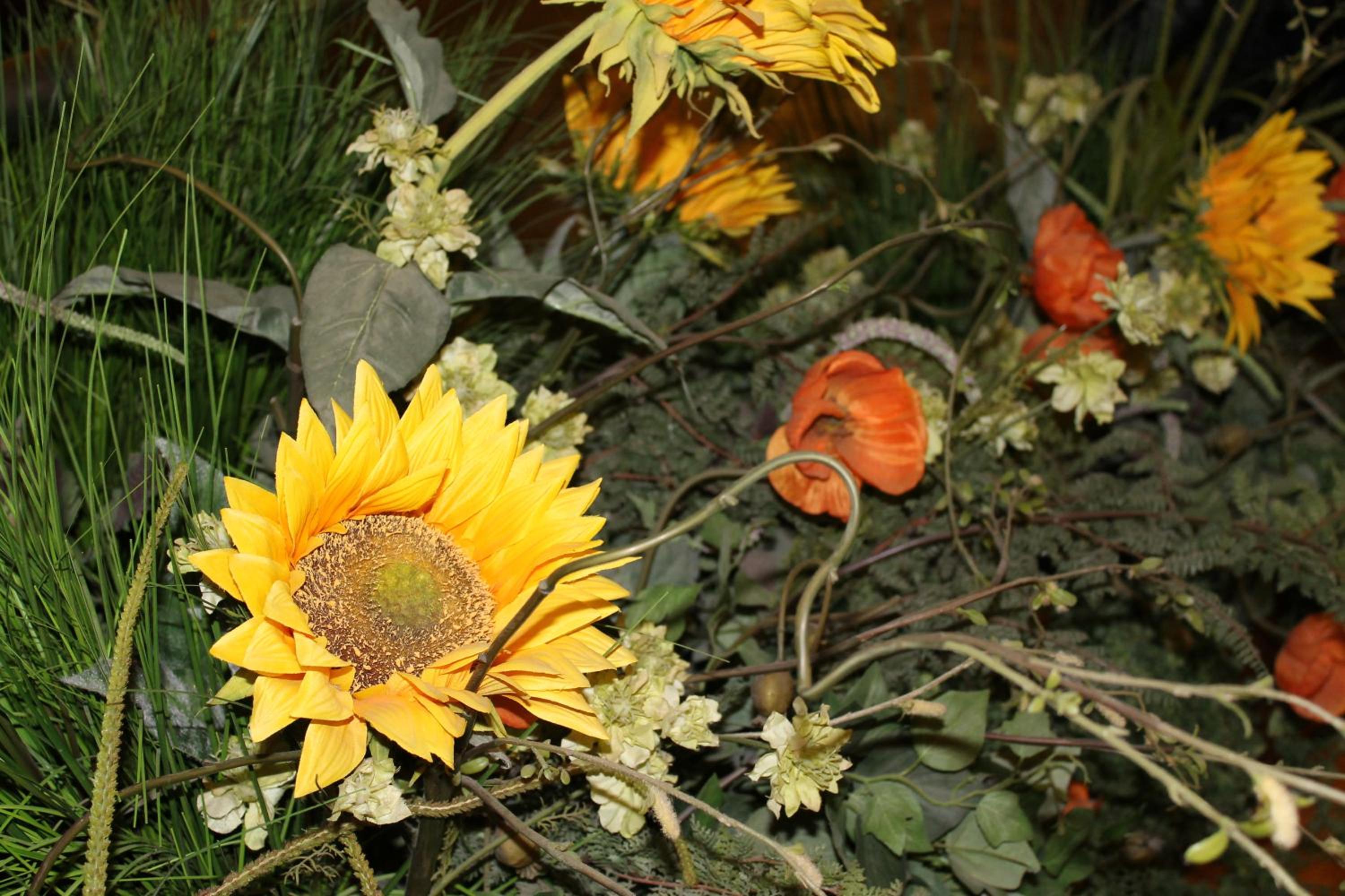 Фото Hotel Ismaele