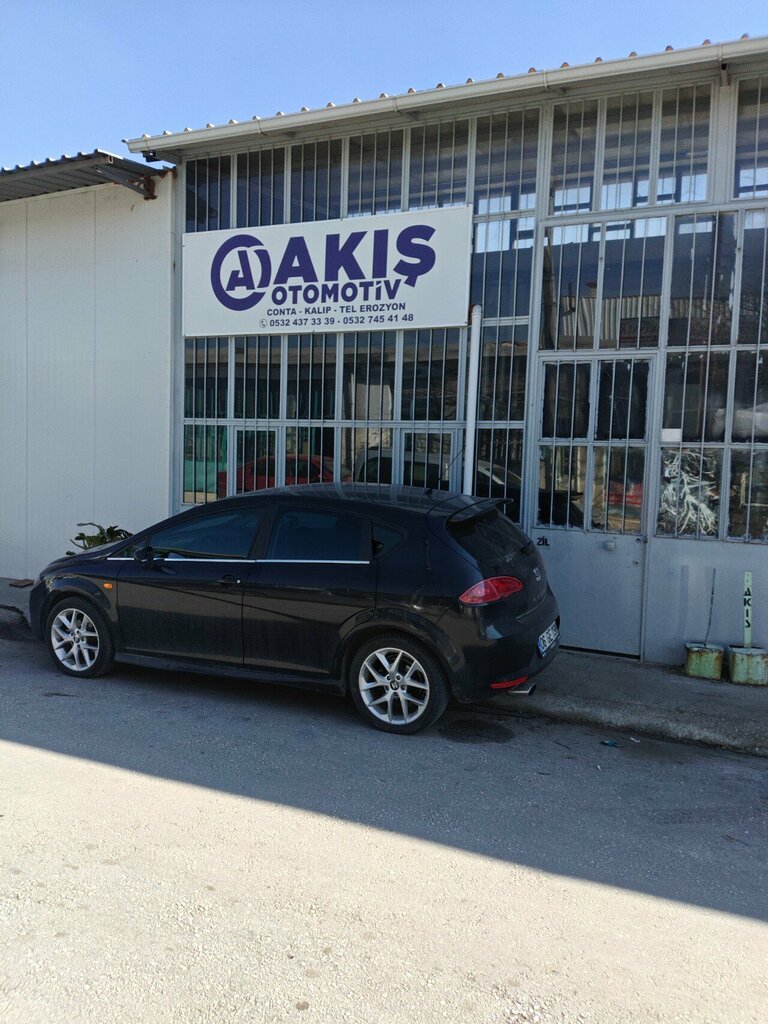 Auto parts and auto goods store Akis Automotive, Konya, photo