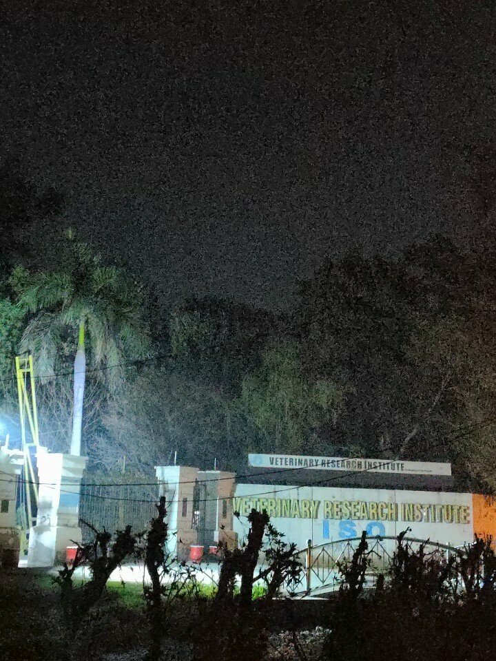 Research institute Veterinary Research Institute, Lahore, photo