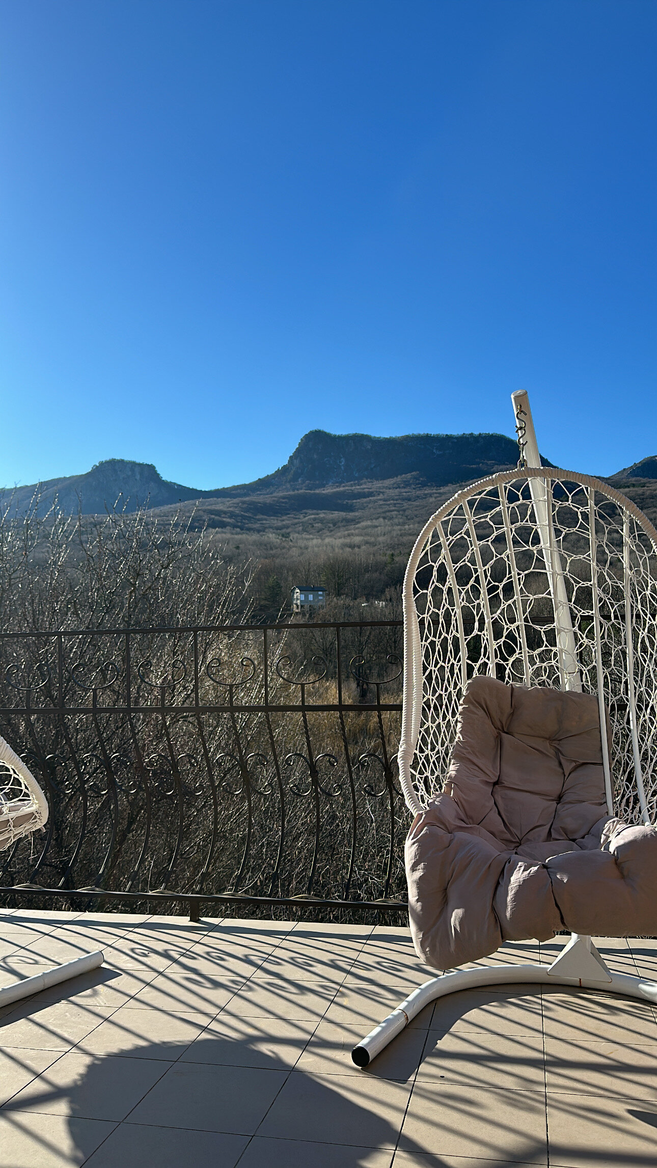 Фото Пальмира