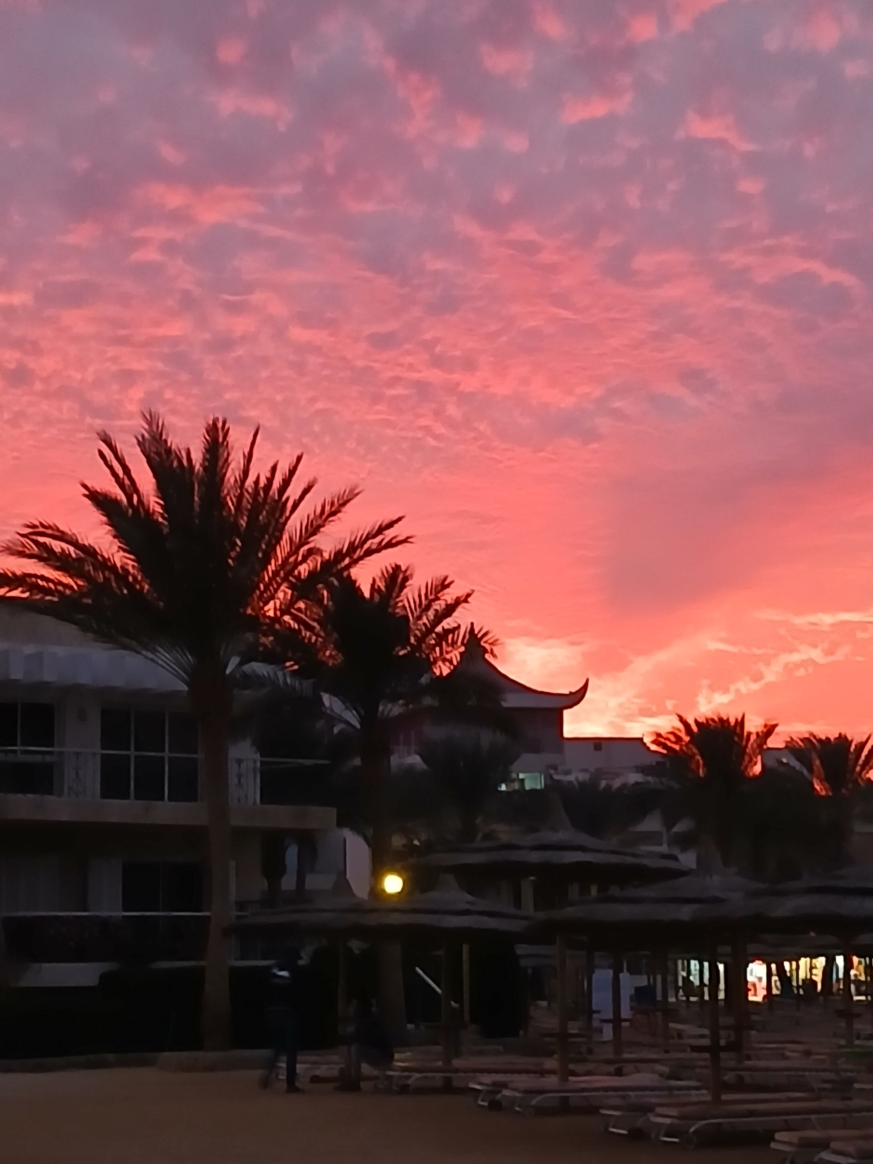 Фото Seagull Beach Resort