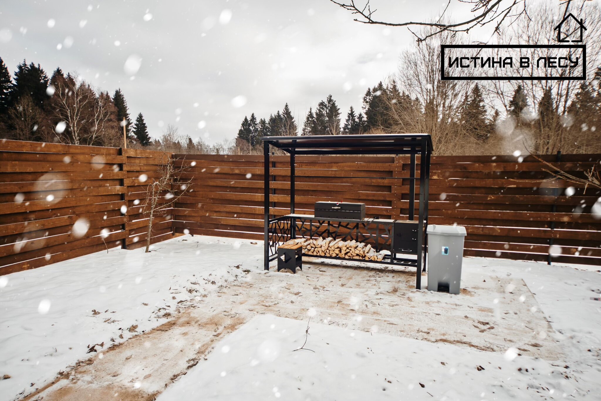 Фото Истина в лесу