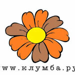 Магазин цветов, Цветы с доставкой, Купить букет, Цветы на заказ, Цветы с доставкой Москва (Bolshaya Semyonovskaya Street No:23А), çiçekçiler  Moskova'dan