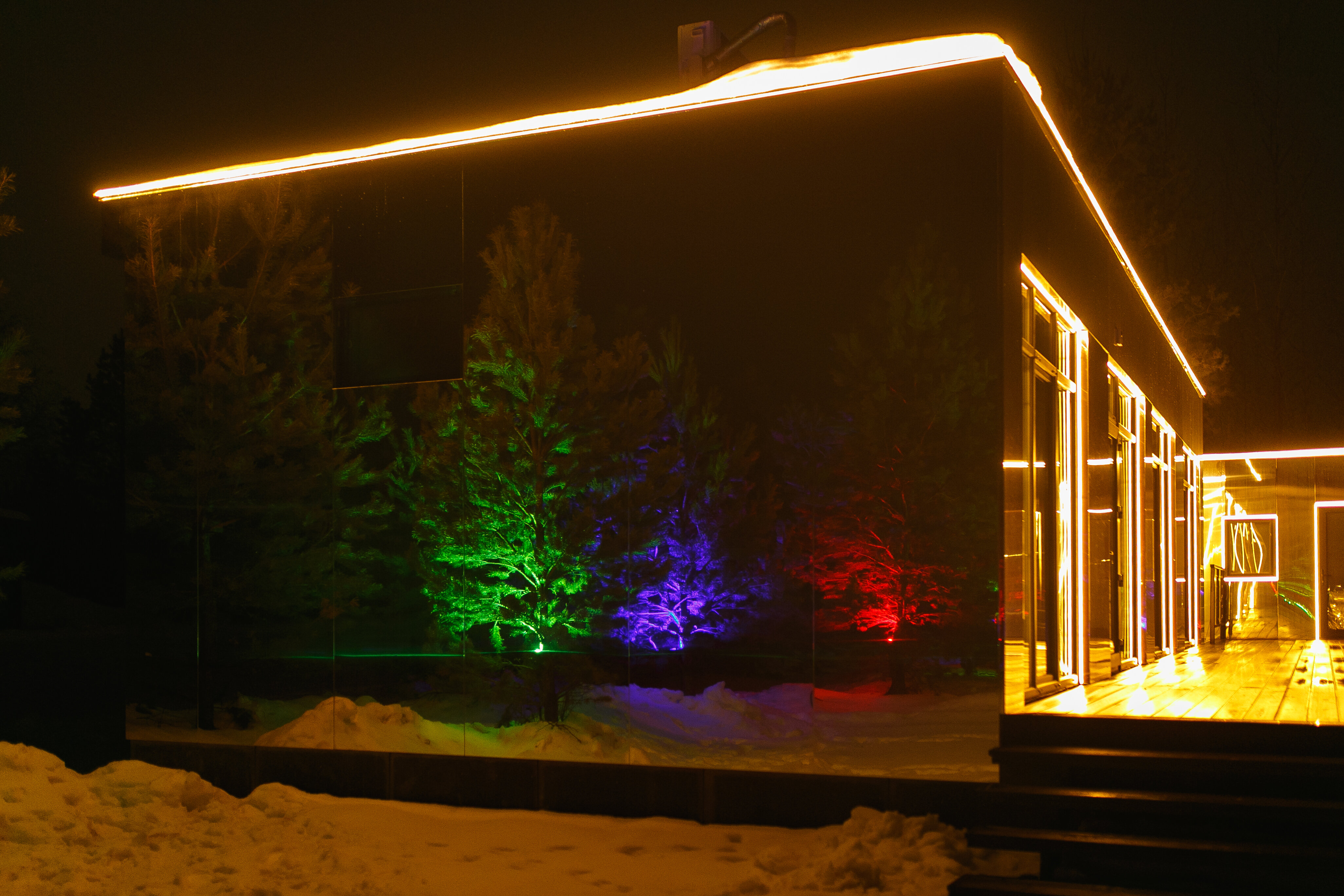 Фото 12 Сосен