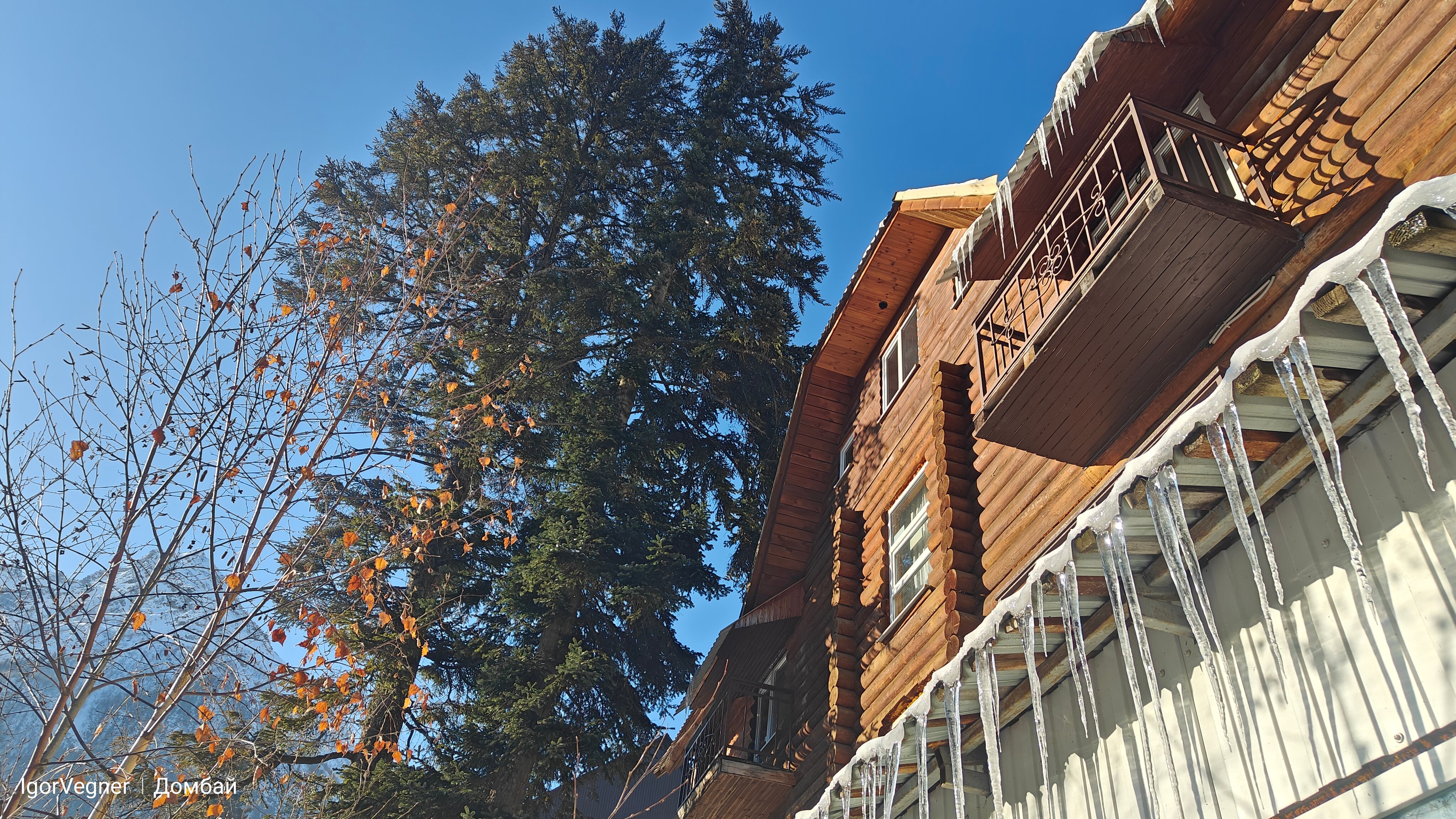 Фото Мирали