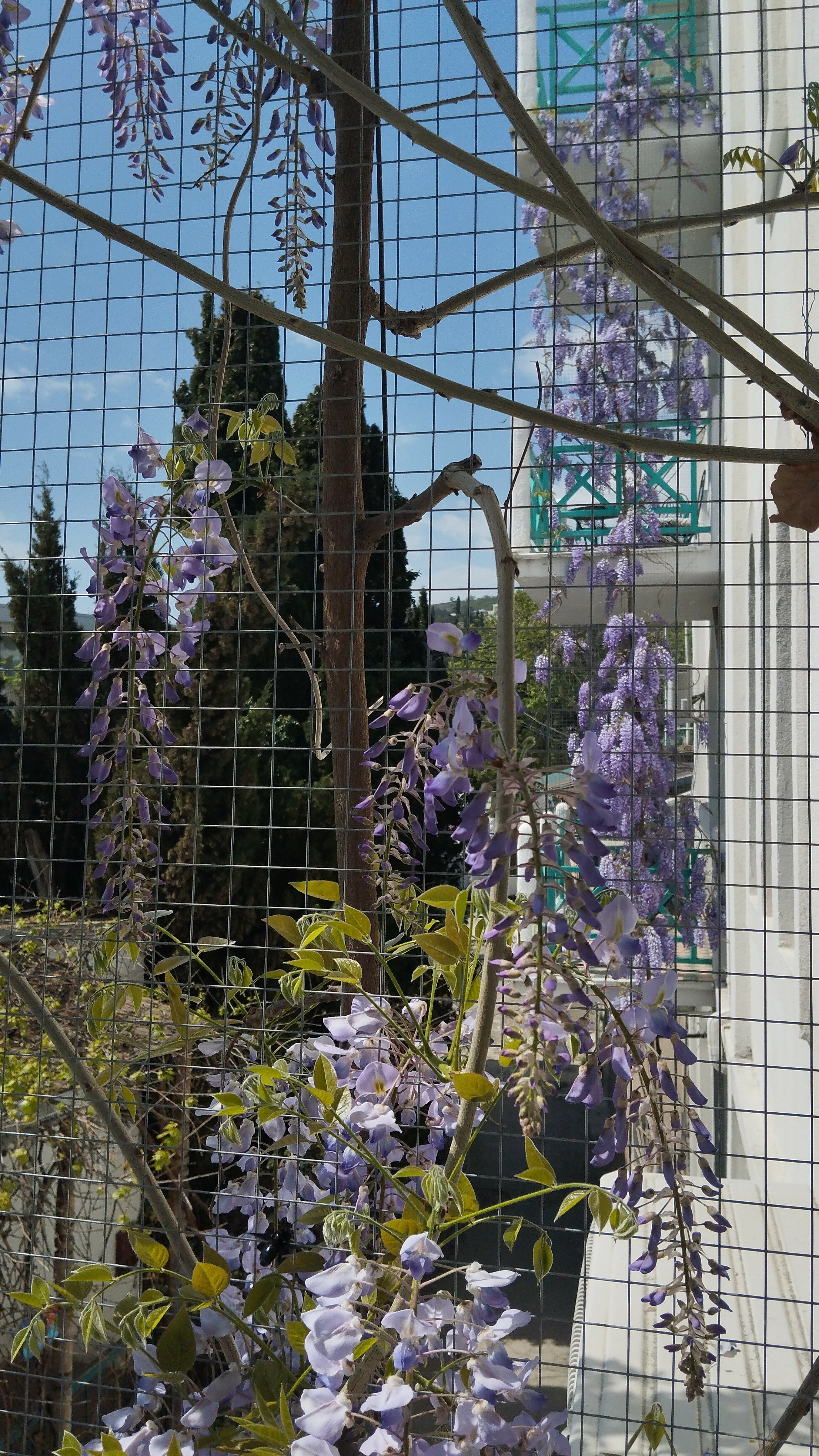 Фото Маре Неро