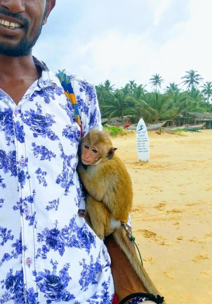 Фото Malika Yellow House