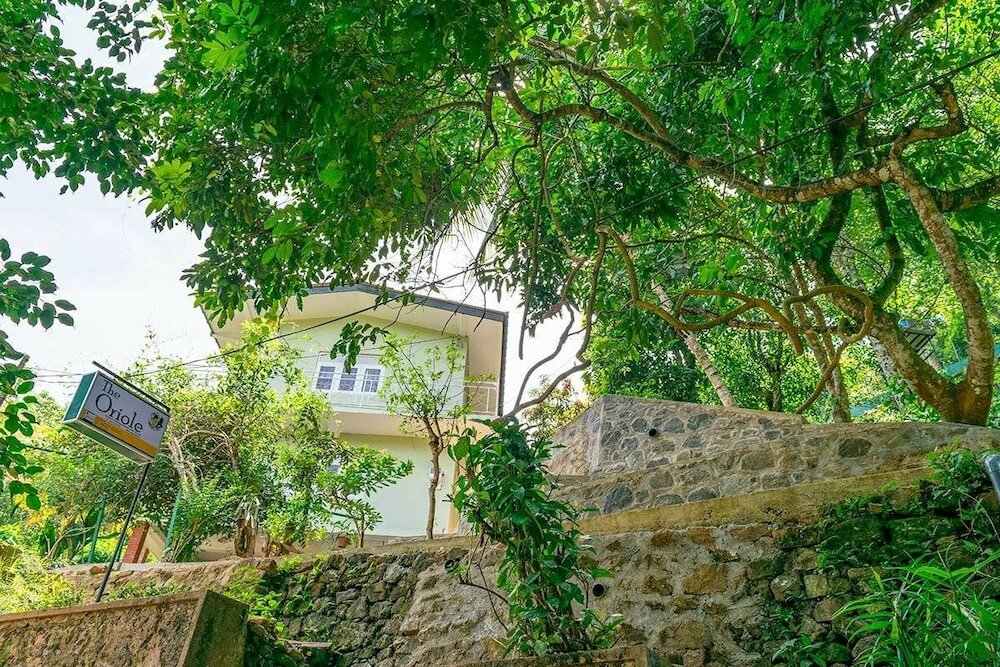 Фото Oriole Kandy