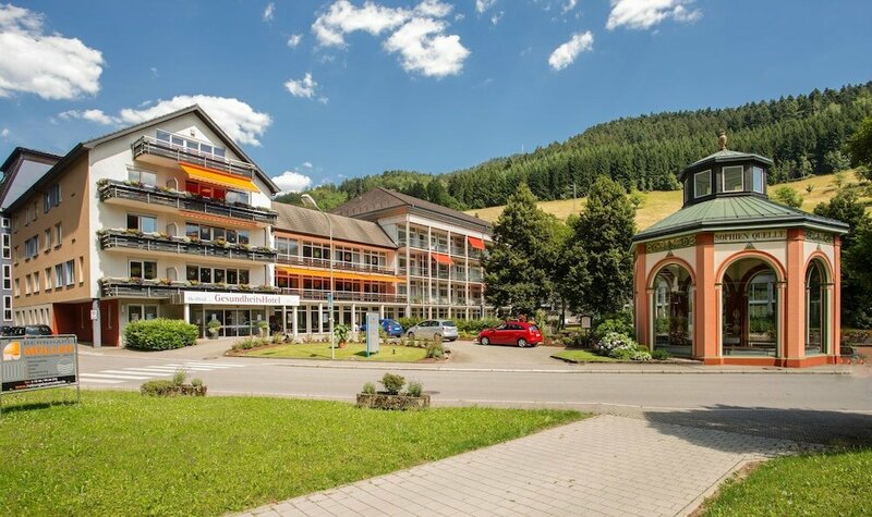 Гостиница GesundheitsHotel Das Bad Peterstal