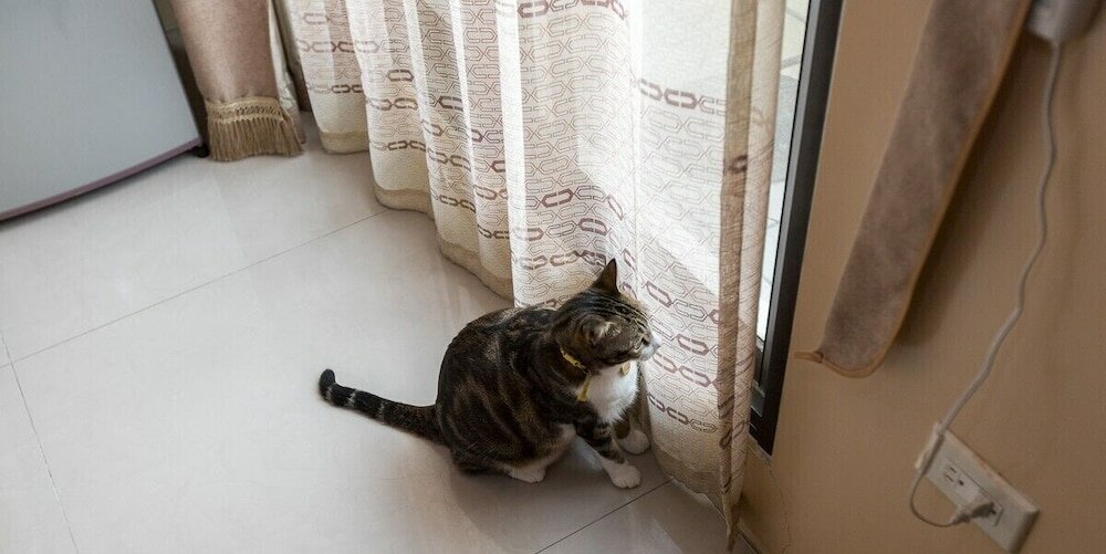 Фото Whale's Homestay