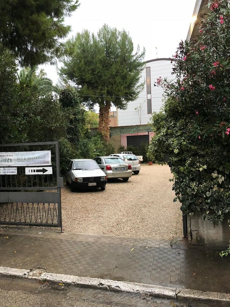 Фото Gabbiano Bianco