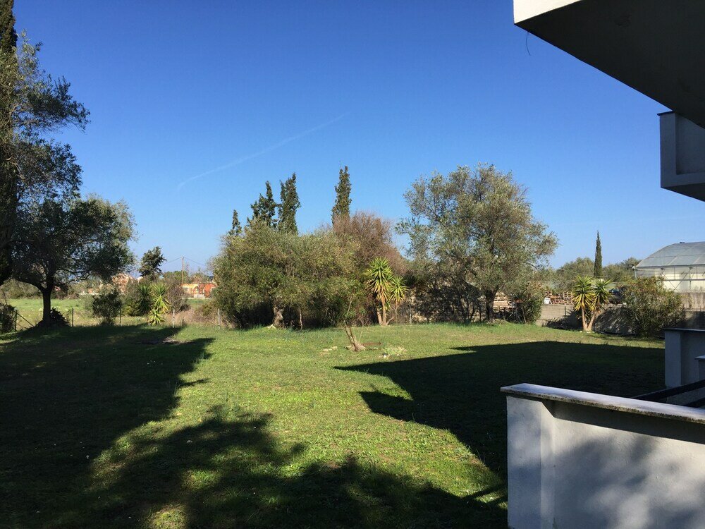 Фото Alexander Apartments