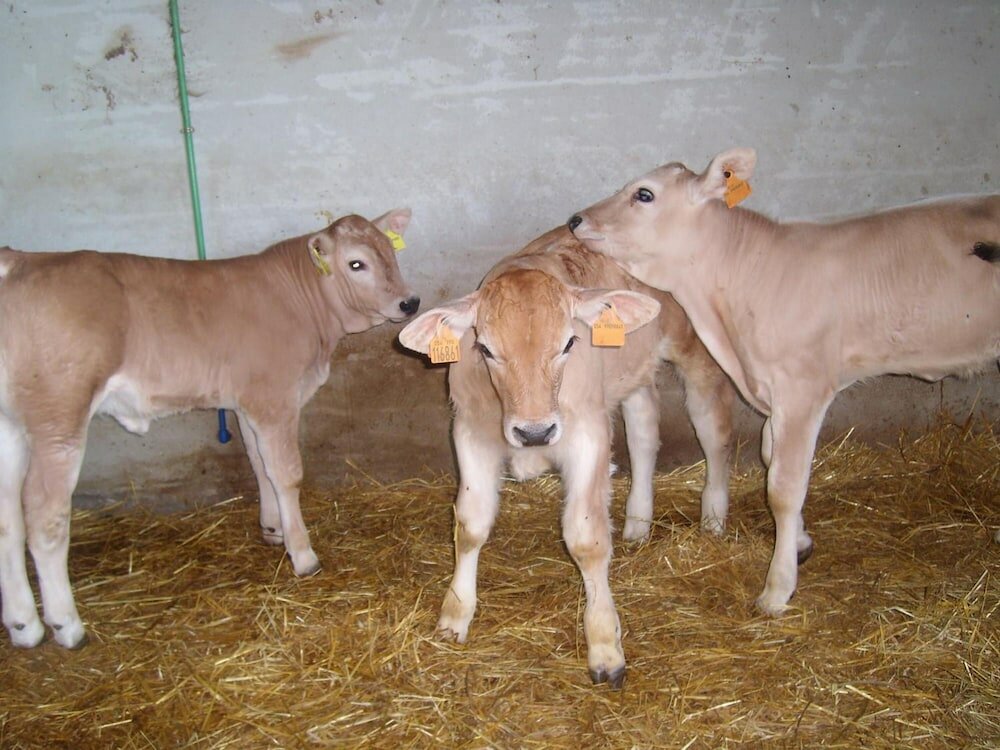 Фото Fattoria Del Quondam