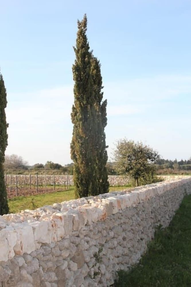 Фото Podere San Martino