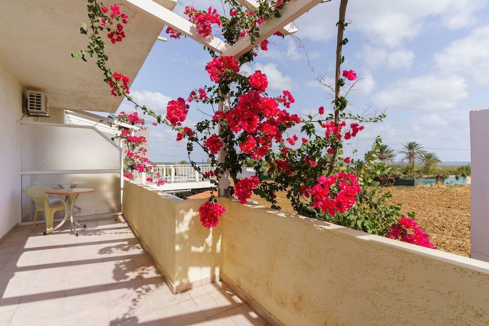 Фото Blue Dream Hotel