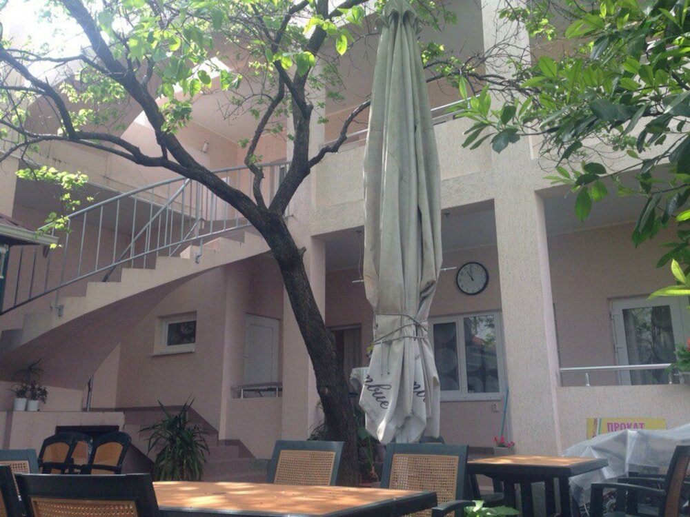 Фото Абрикос