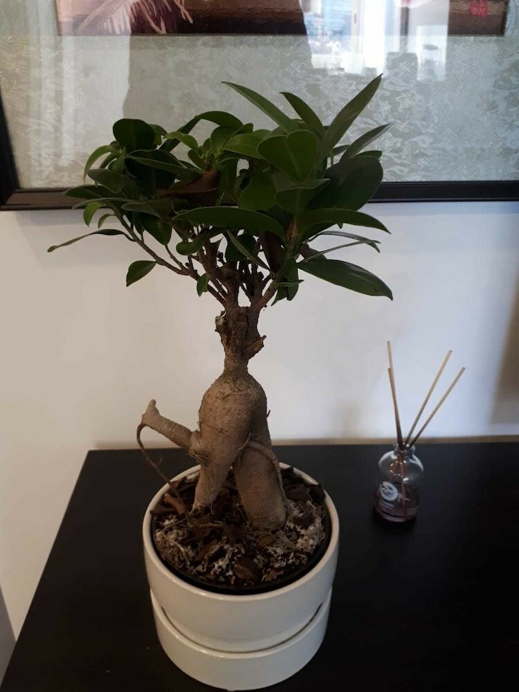 Фото Republica83-Campo Pequeno Home