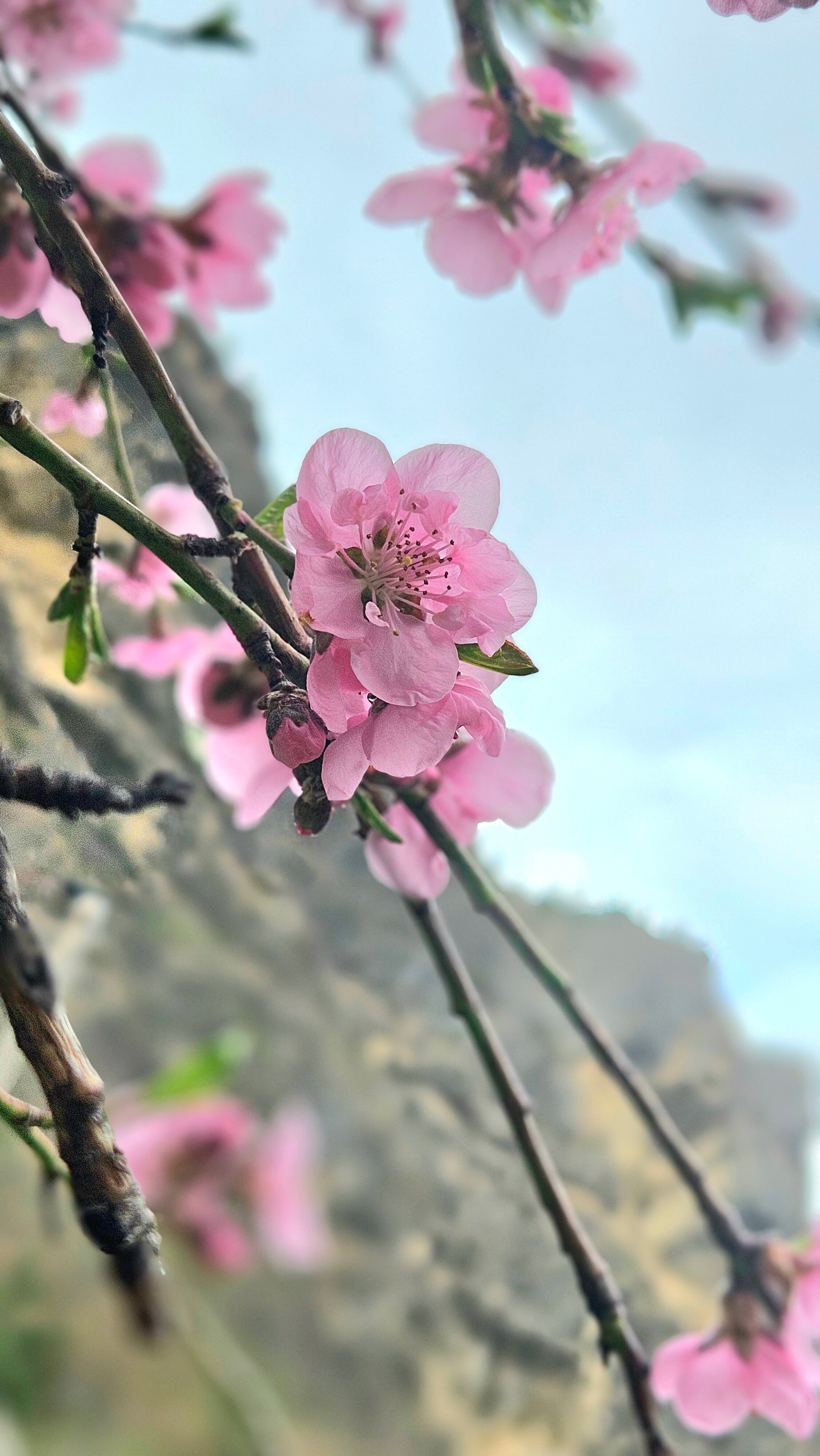 Фото Домик у обрыва