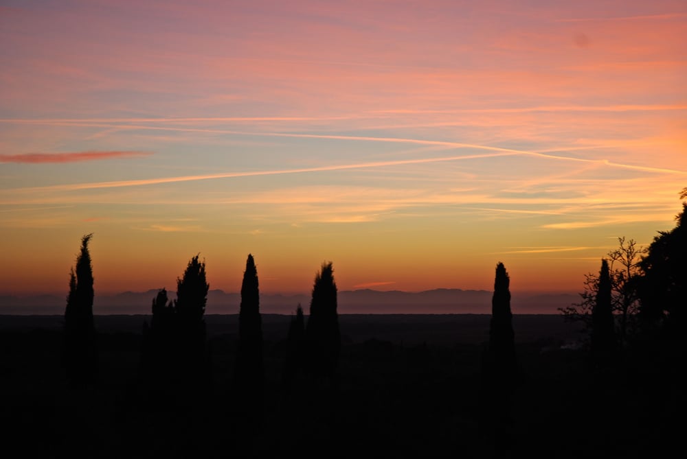 Фото Alle Case Sparse