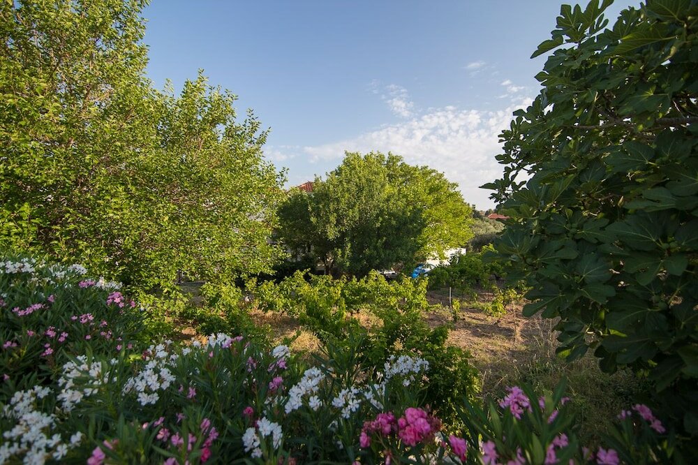 Фото Akti Hotel & Apartments