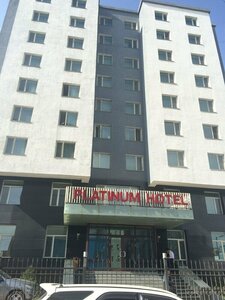 Гостиница Platinum Hotel