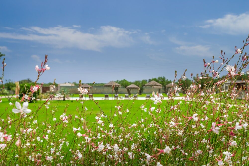 Фото Masseria La Gresca
