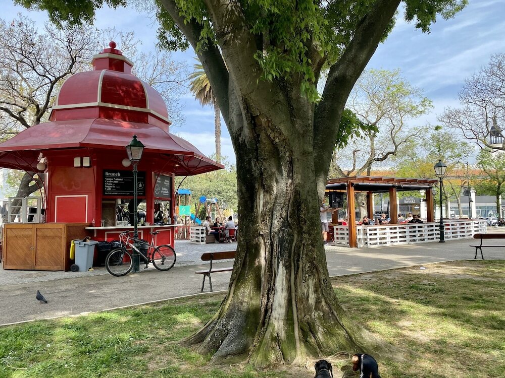 Фото Studios with Mezzanine Rua da Moeda
