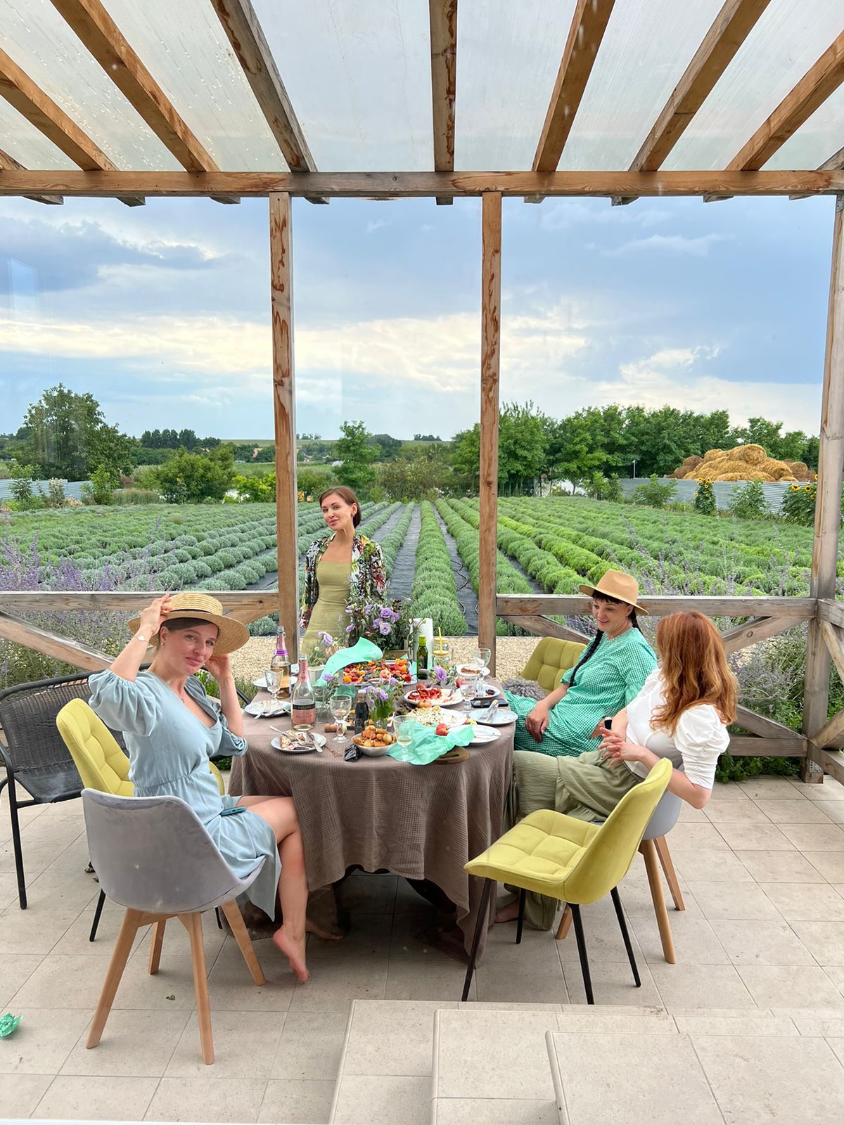 Фото Лавандовые холмы