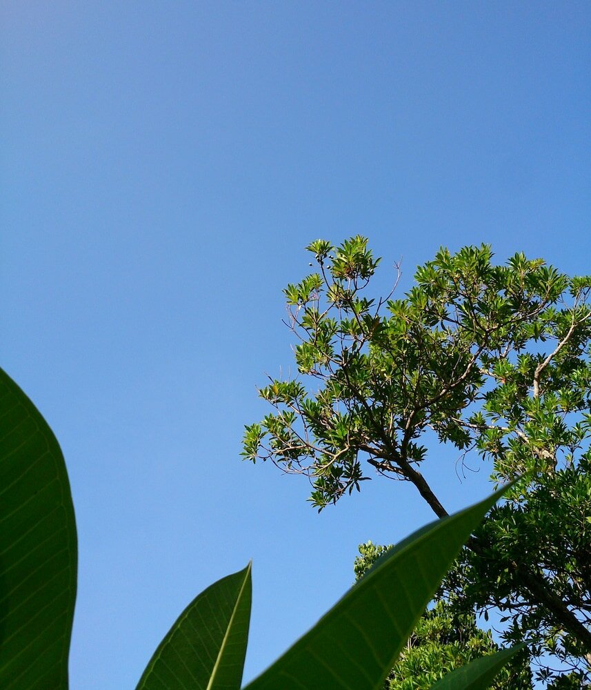 Фото Atelier Café bar Seihei