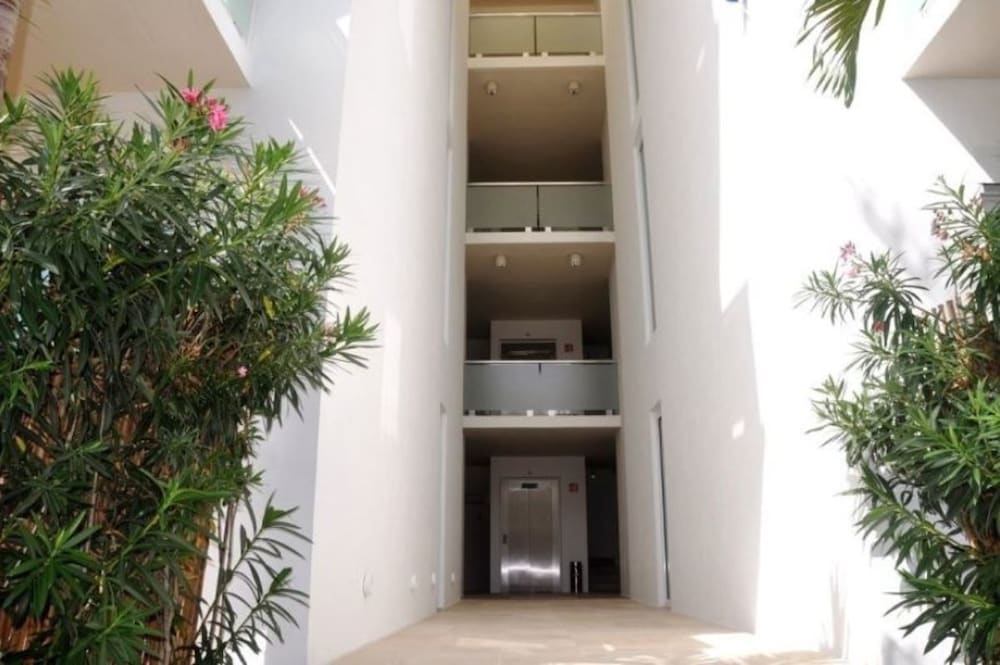 Фото La Papaya Plus 303 by Vimex