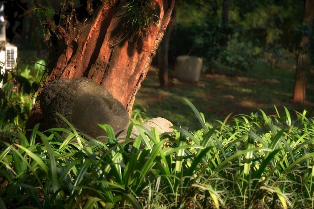 Фото Java Rain Resorts