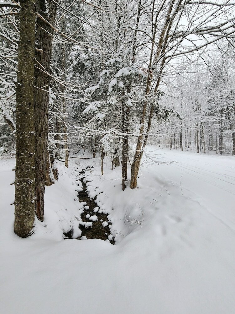 Фото Ski in & out Spruce Glen Townhomes on Great Eastern Trail