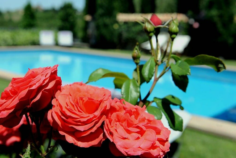 Фото Relais Gli Ulivi