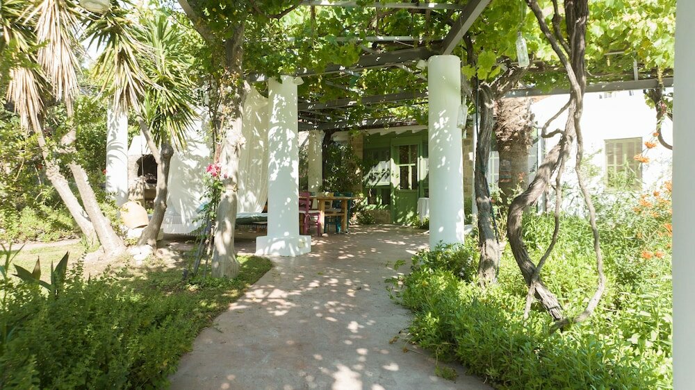 Фото The Olive Yard House