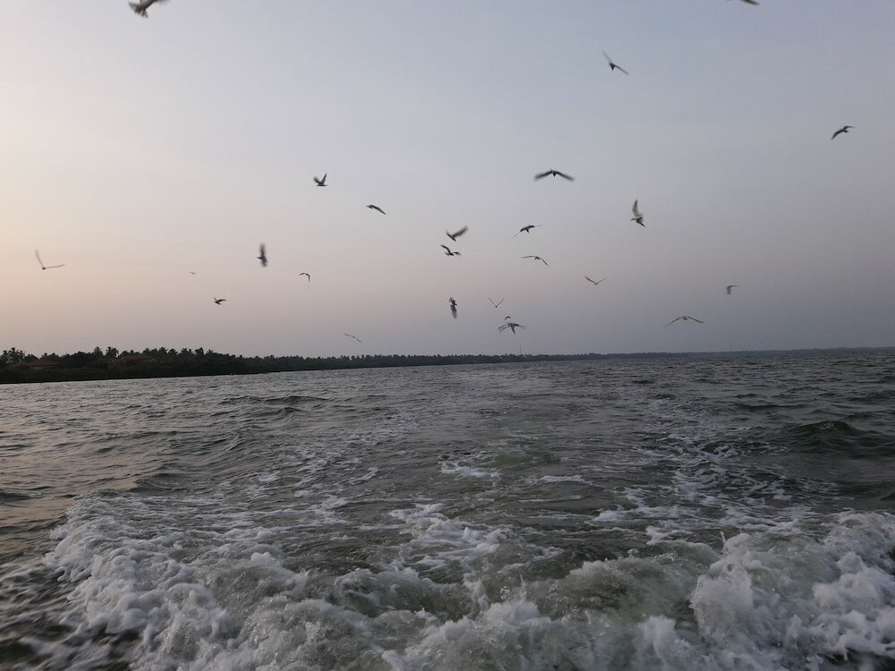 Фото Nico Lagoon Hotel