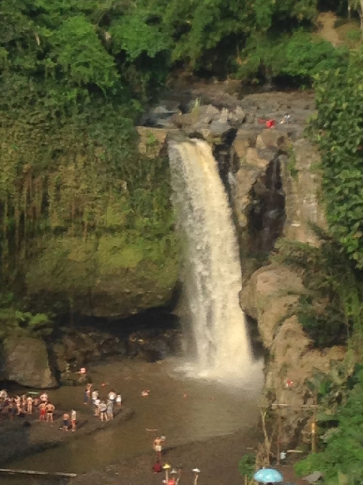 Фото Wina Ubud B&b