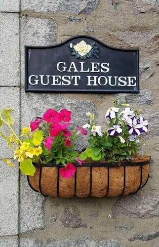 Гостиница Gales Guest House