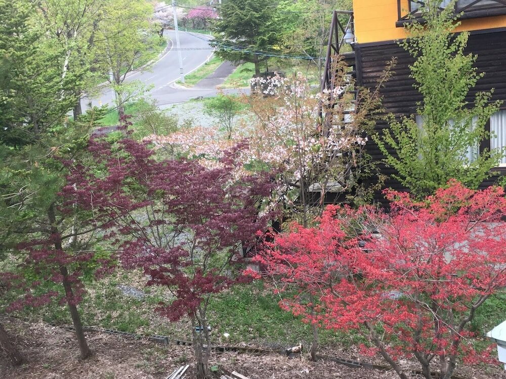 Фото Onsen Yasumori