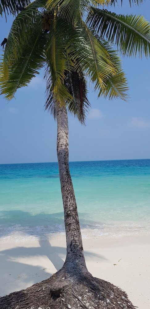 Фото South Ari Inn