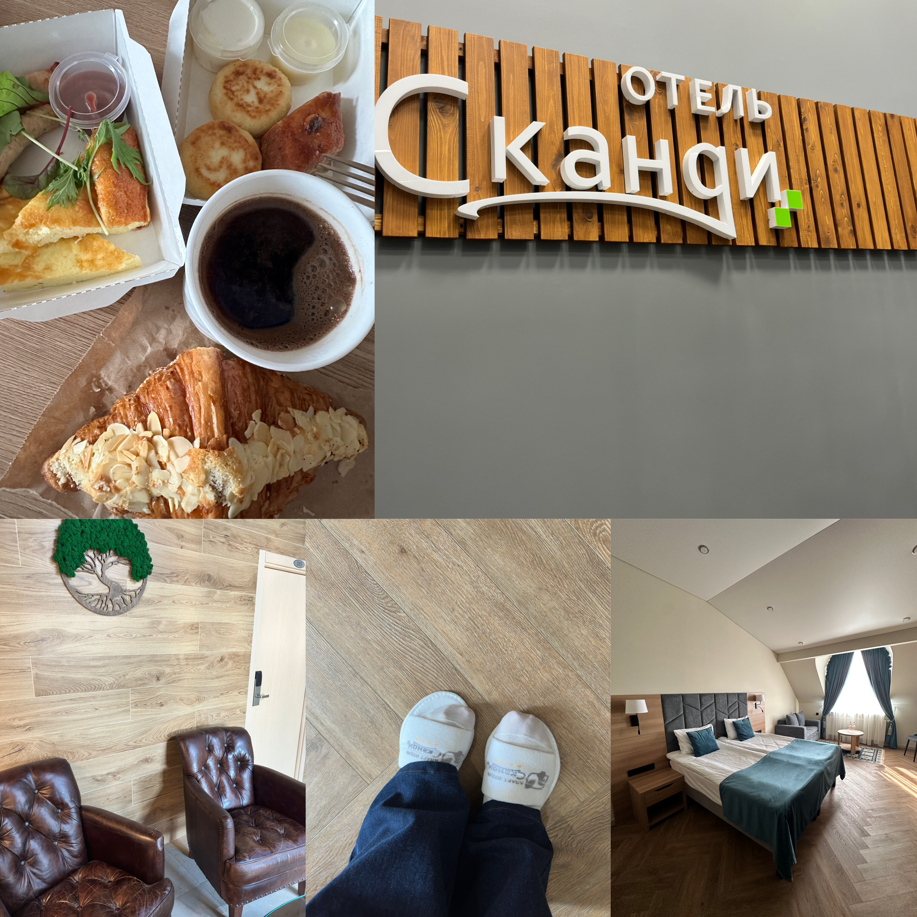 Фото Сканди