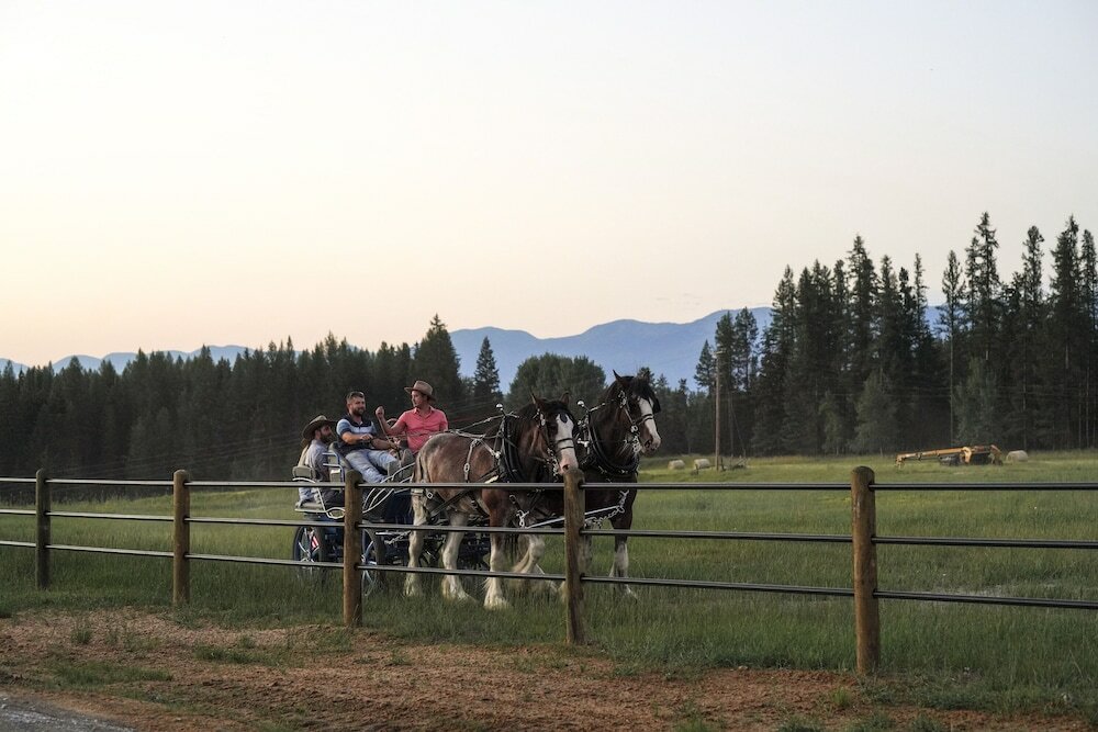 Фото Clydesdale Outpost