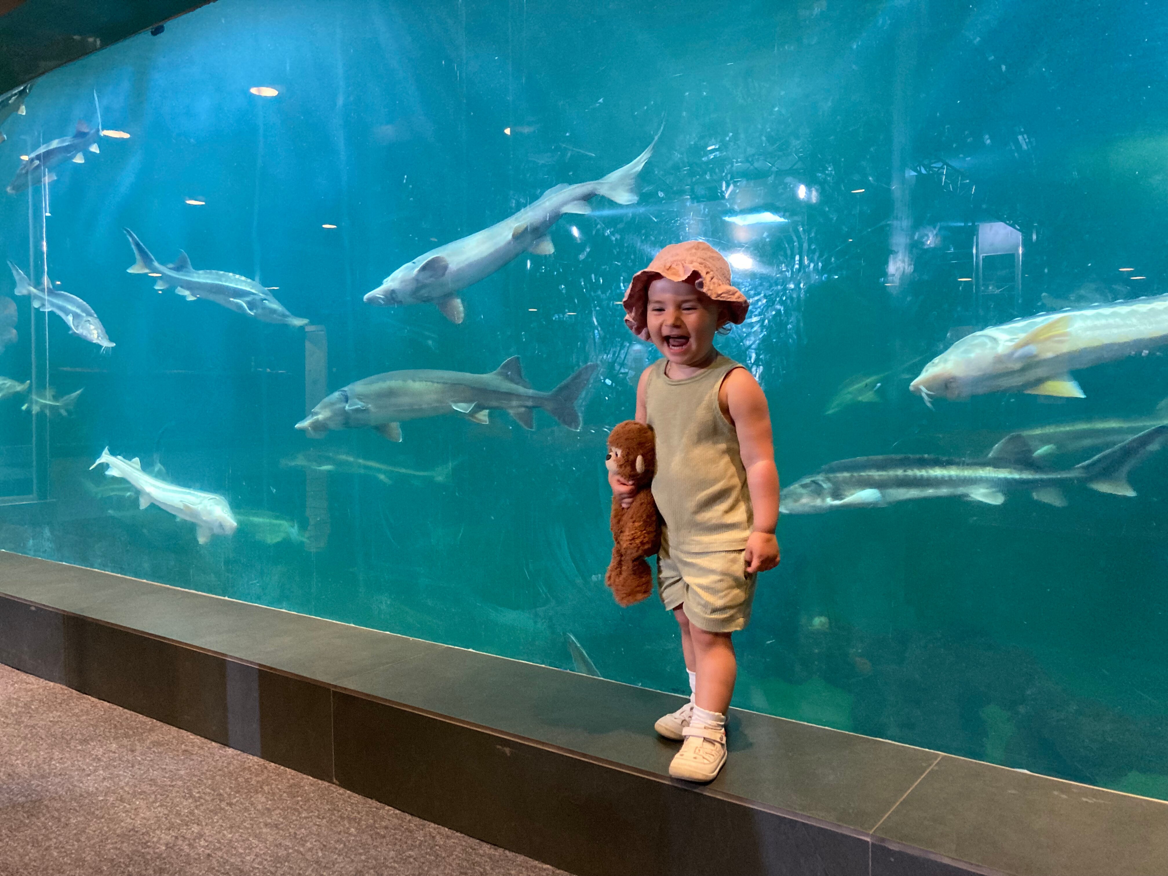 Фото Caspian Riviera Grand Palace