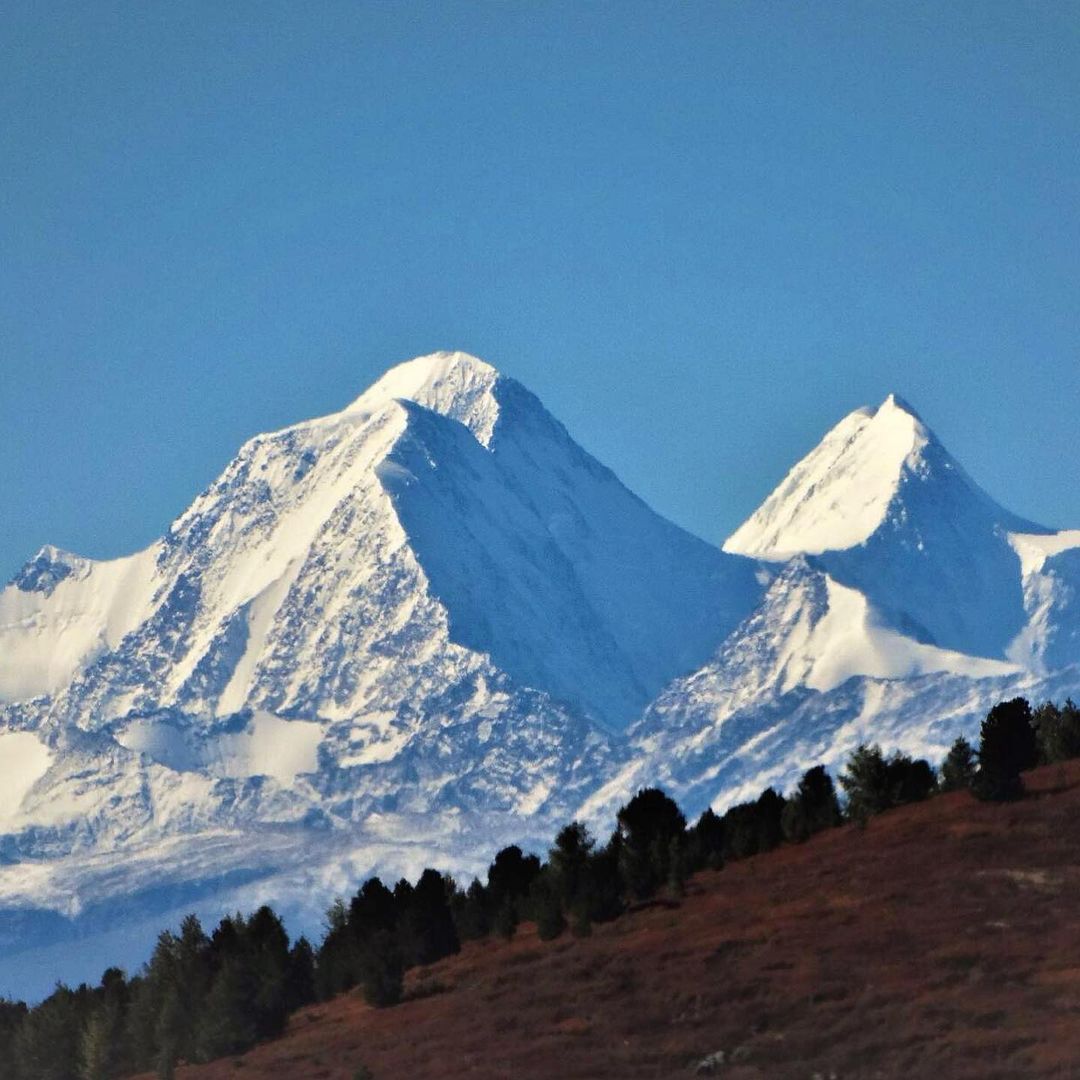 Фото Горный орел