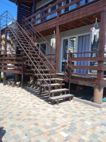 Фото Совёнок