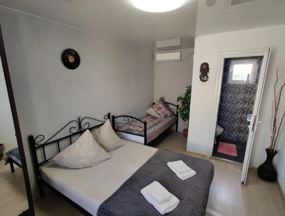 Фото Совёнок