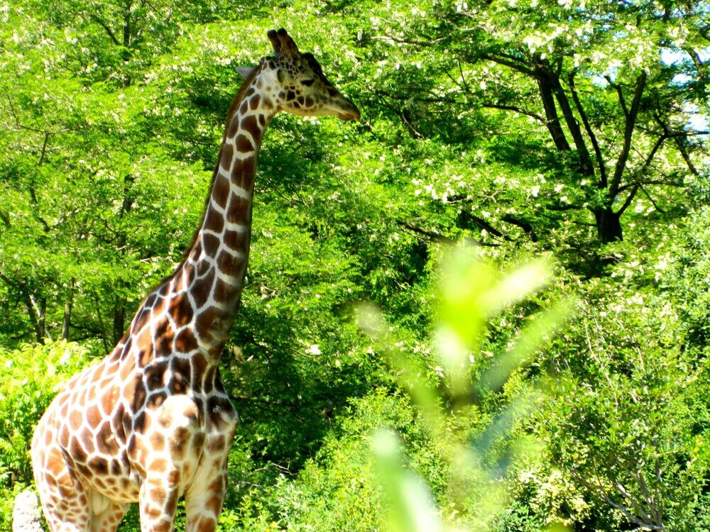 Фото Modern Home with Rooftop Oasis