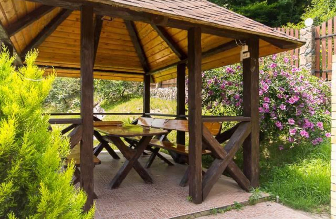 Фото Олимпик